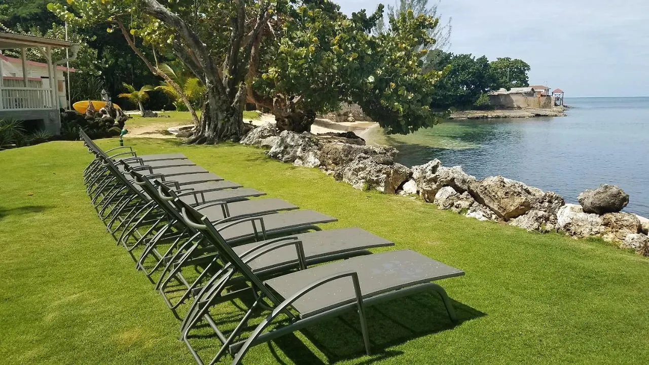 Llantrissant Beachcliff Villa Negril